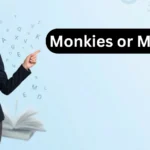 Monkies or Monkeys