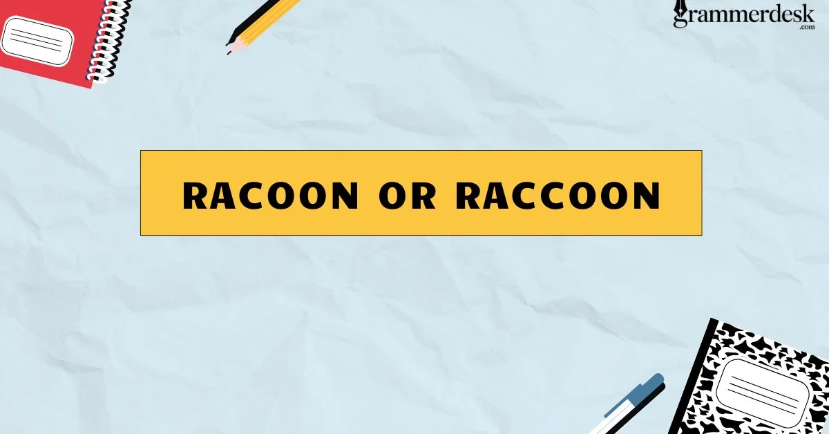Racoon or Raccoon