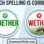 Whether or Wether