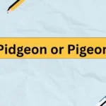Pidgeon or Pigeon