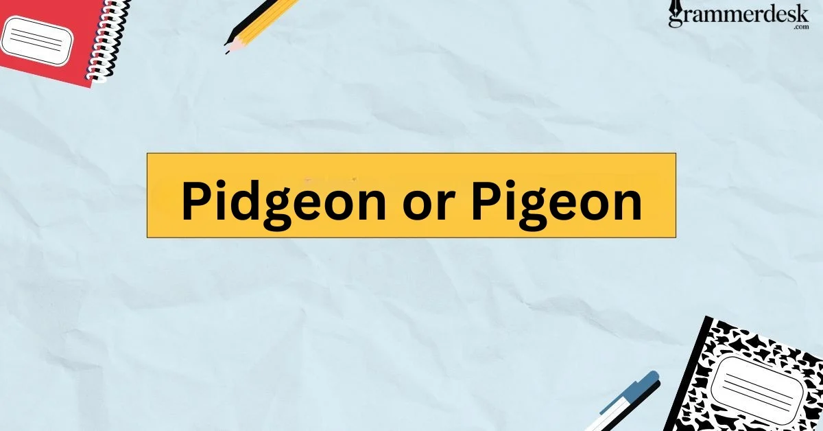 Pidgeon or Pigeon